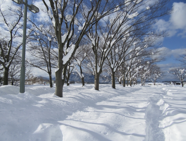 排雪業者に依頼するメリットとは？北海道の冬を快適に過ごすためのポイント